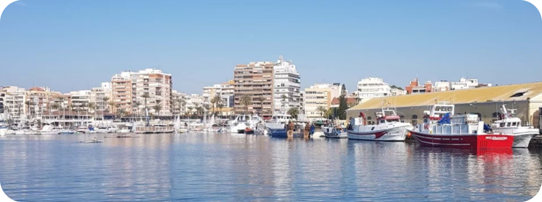 Costa del Sol i Costa Blanca – różnice, podobieństwa i rynek nieruchomości
